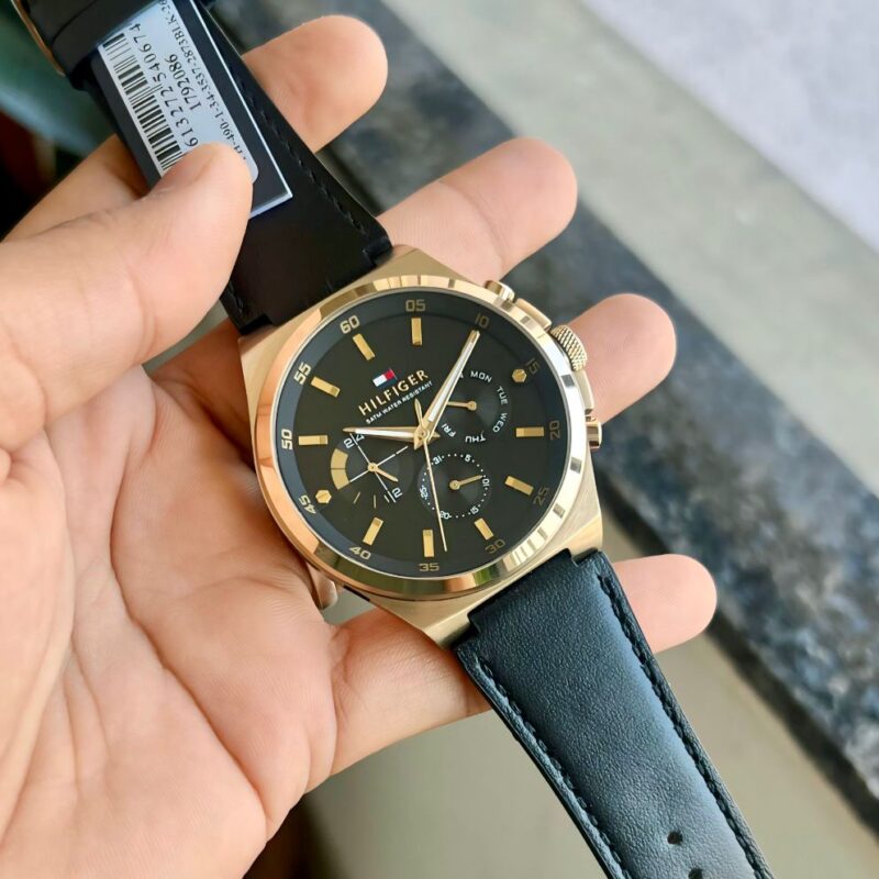 IMG 20241213 WA0040 https://spacetimewatch.com/shop/tommy-hilfigar-th1792086/