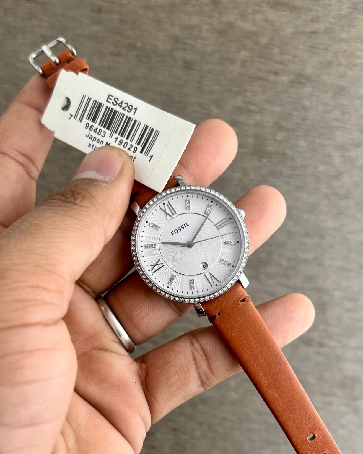 IMG 20241219 WA0010 scaled https://spacetimewatch.com/shop/fossil-girl-es4291/