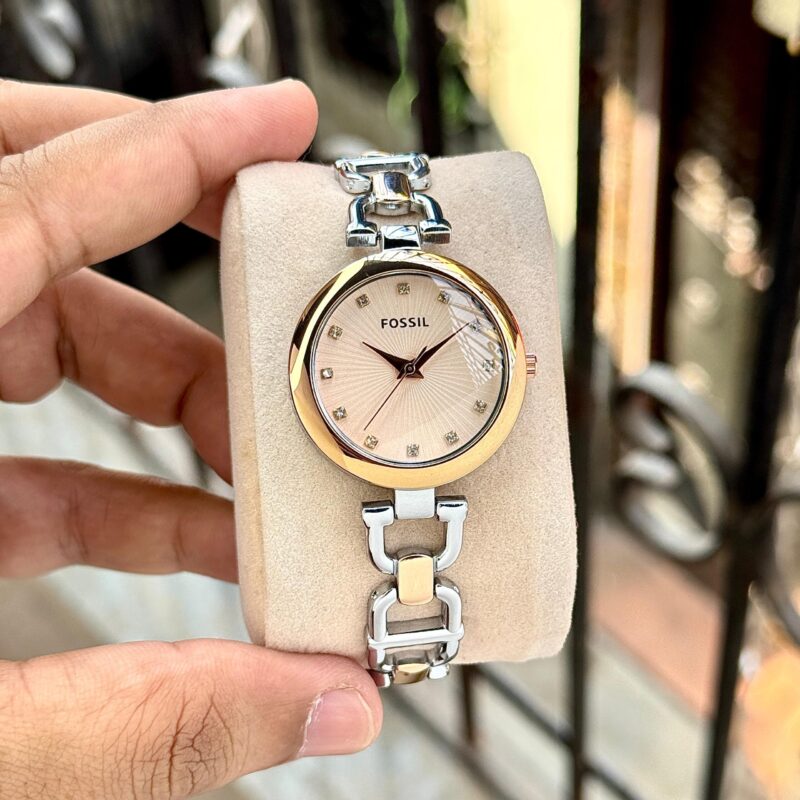 IMG 20250120 WA0034 scaled https://spacetimewatch.com/shop/fossil-olive-series-3/