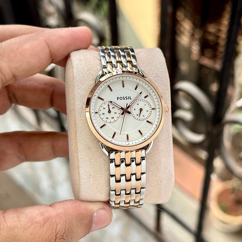 IMG 20250209 WA0146 scaled https://spacetimewatch.com/shop/fossil-evergreen-original/