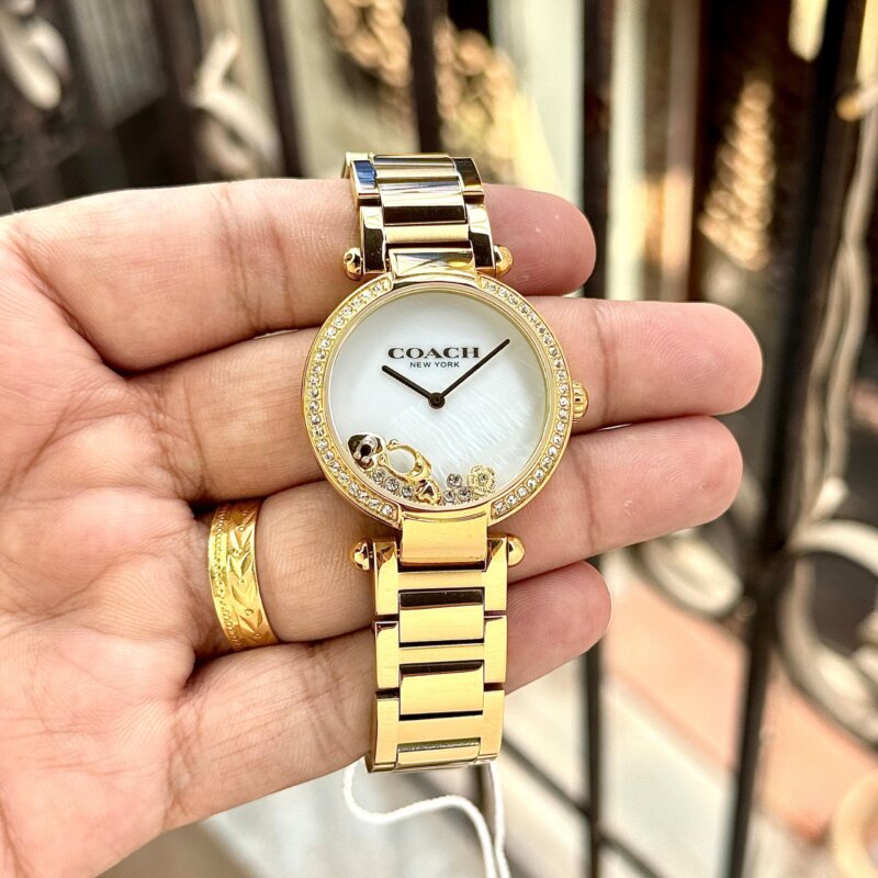 1000019462 scaled https://spacetimewatch.com/shop/coach-cary-quartz-7aaa-premium/
