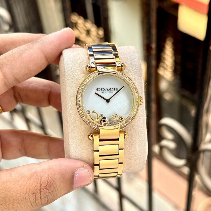 1000019463 scaled https://spacetimewatch.com/shop/coach-cary-quartz-7aaa-premium/